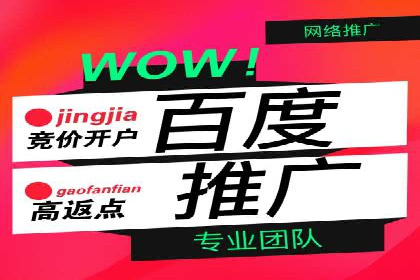 百度推广服务费案例：打造差异化竞争优势